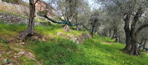 1620m² Land in Villa Faraldi, Italy No. 89802 4