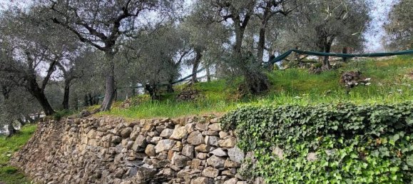 1620m² Land in Villa Faraldi, Italy No. 89802 5