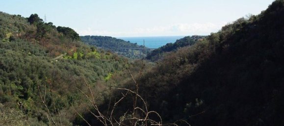 1620m² Land in Villa Faraldi, Italy No. 89802 3