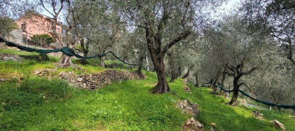 1620m² Land in Villa Faraldi, Italy No. 89802 2