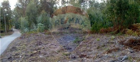 5750m² Land in Mortagua, Portugal No. 88104 3