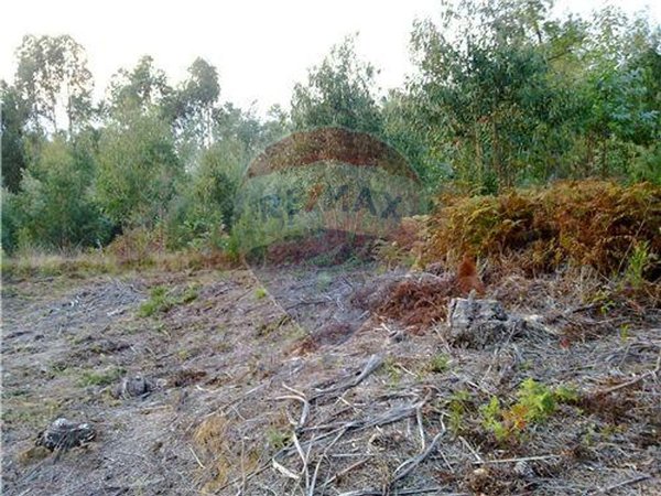 5750m² Land in Mortagua, Portugal No. 88104