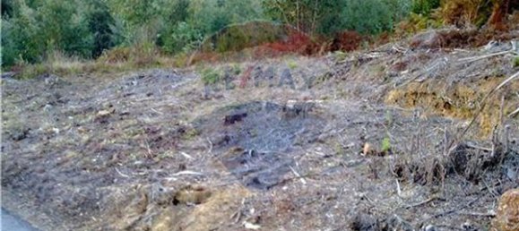 5750m² Land in Mortagua, Portugal No. 88104 2