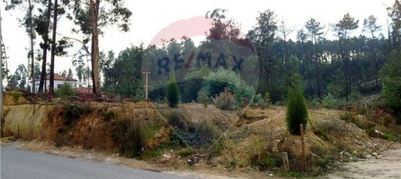 5750m² Land in Mortagua, Portugal No. 88104 4