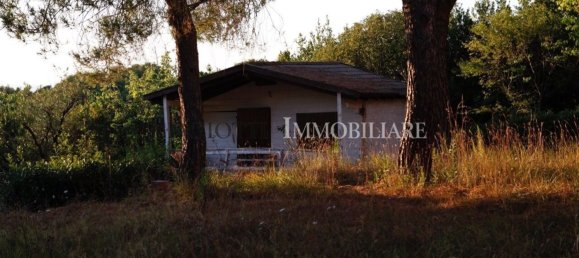 12 bedrooms Villa in Livorno, Italy No. 379409 45