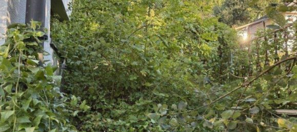  Land in Wolfsgraben, Austria No. 238938 3