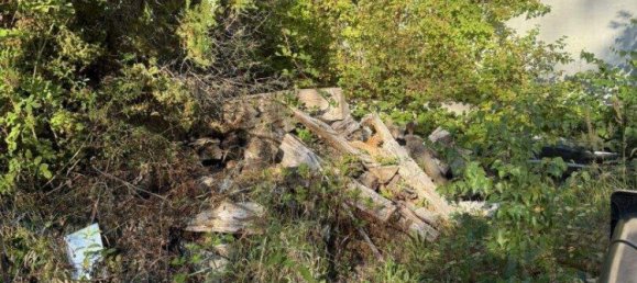  Land in Wolfsgraben, Austria No. 238938 2