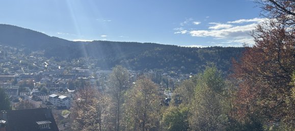 3 Schlafzimmer Villa in Gerardmer, France, Nr. 247216 17