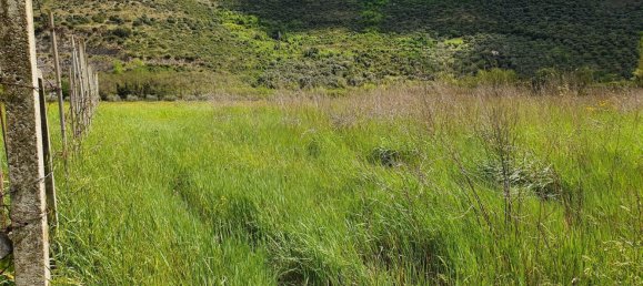 3000m² Land in Sermoneta, Italy No. 84999 3