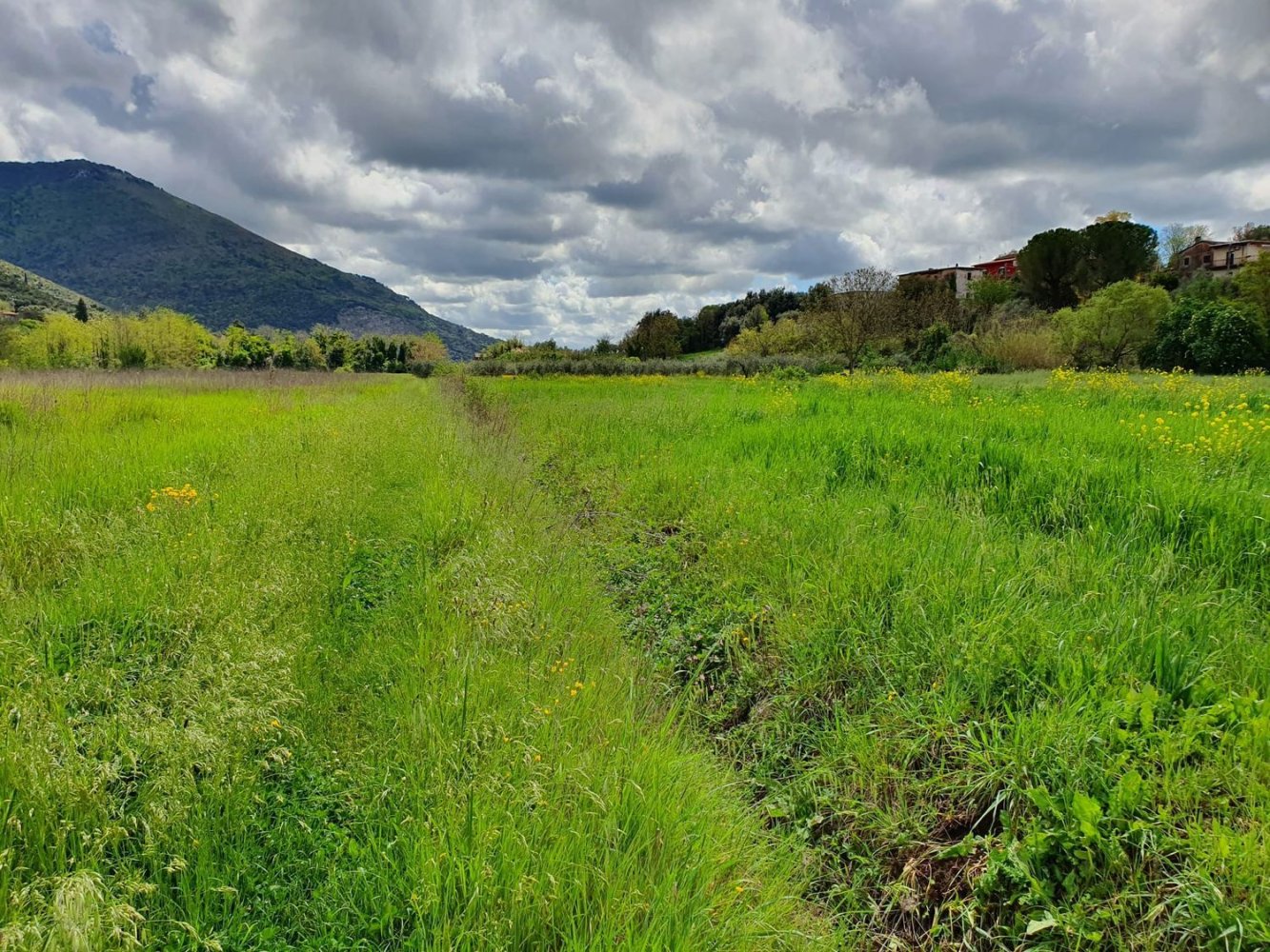 3000m² Land in Sermoneta, Italy No. 84999