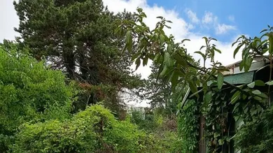  Land in Deutsch-Wagram, Austria No. 202271