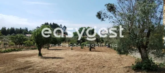  Land in Ferreira do Zezere, Portugal No. 87629 12