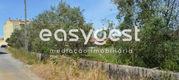  Land in Ferreira do Zezere, Portugal No. 87629 4