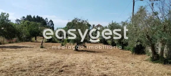  Land in Ferreira do Zezere, Portugal No. 87629 9