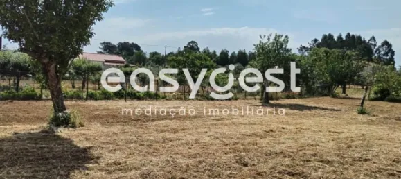  Land in Ferreira do Zezere, Portugal No. 87629 7