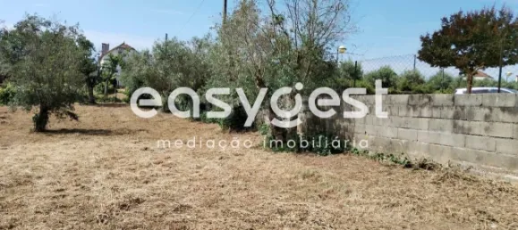  Land in Ferreira do Zezere, Portugal No. 87629 8