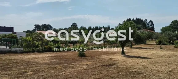  Land in Ferreira do Zezere, Portugal No. 87629 14
