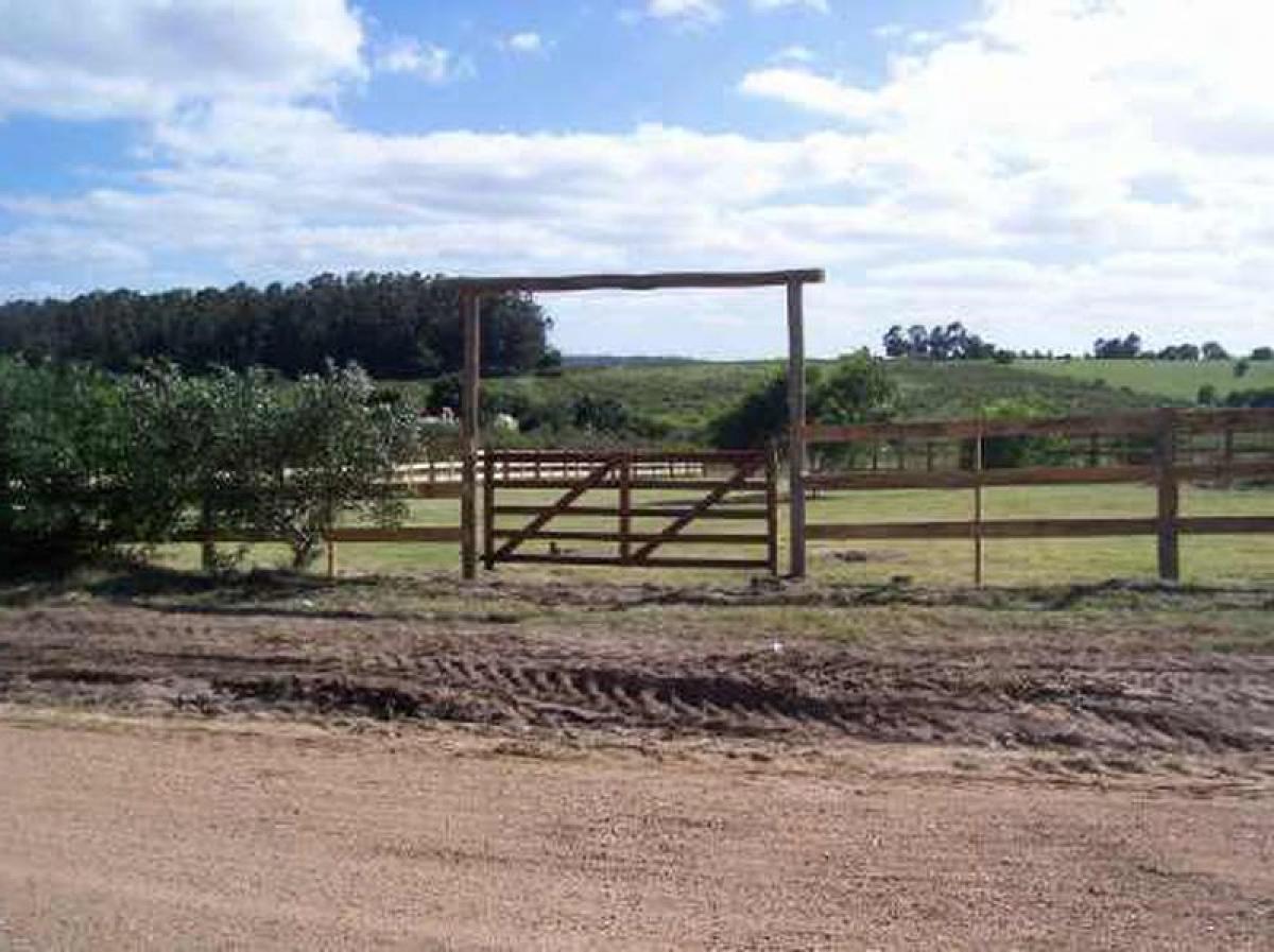 Grundstück in Maldonado, Uruguay, Nr. 16125