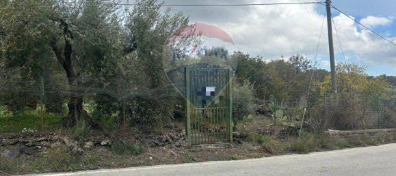 1 bedroom House in Belpasso, Italy No. 77172 35