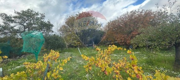 1 bedroom House in Belpasso, Italy No. 77172 22