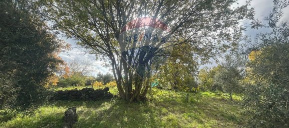 1 bedroom House in Belpasso, Italy No. 77172 31