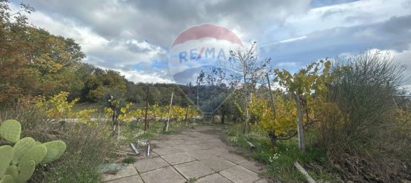 1 bedroom House in Belpasso, Italy No. 77172 30