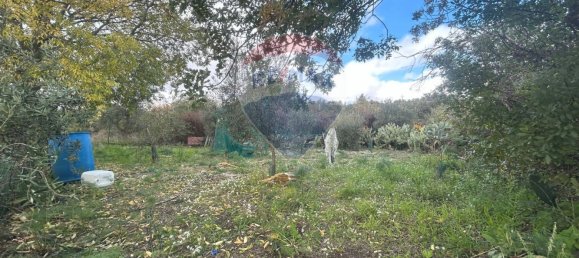 1 bedroom House in Belpasso, Italy No. 77172 32