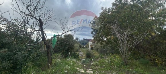 1 bedroom House in Belpasso, Italy No. 77172 24