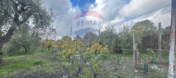 1 bedroom House in Belpasso, Italy No. 77172 28