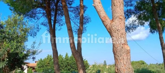 4 Schlafzimmer Villa in Alcamo, Italy, Nr. 257192 2