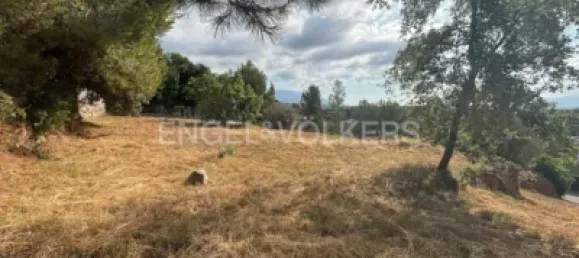 Grundstück in Barcelona, Spain, Nr. 142264 8