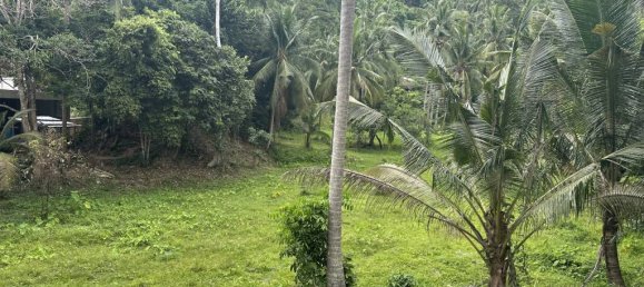 Terreno en Surat Thani, Thailand No. 61566 4