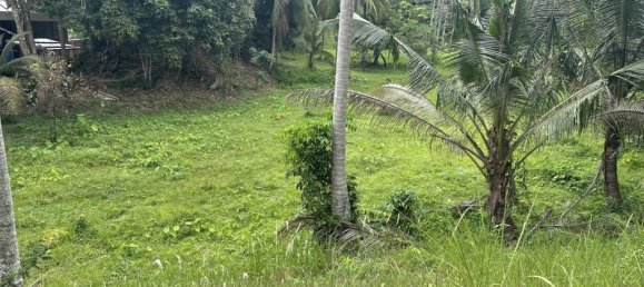 Terreno en Surat Thani, Thailand No. 61566 3