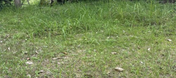 Terreno en Surat Thani, Thailand No. 61566 6