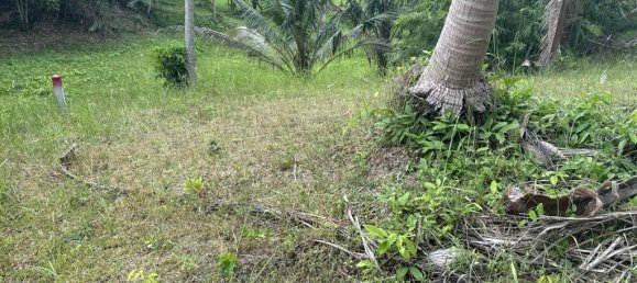 Terreno en Surat Thani, Thailand No. 61566 2