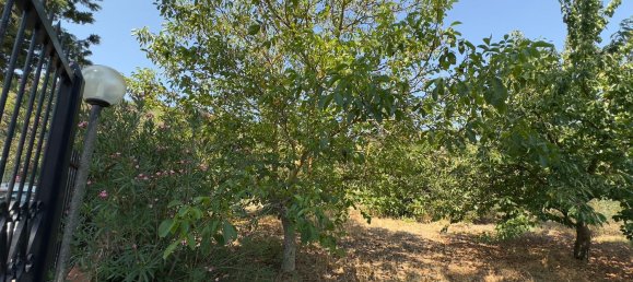 4 غرف نوم فيلا في Altofonte, Italy رقم 336817 31