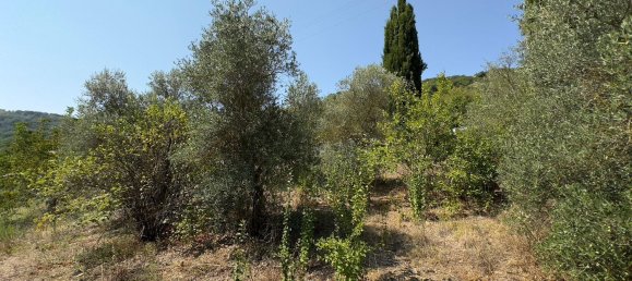 4 غرف نوم فيلا في Altofonte, Italy رقم 336817 30