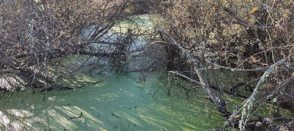2 chambres Maison à Belmonte, Portugal No. 177960 18