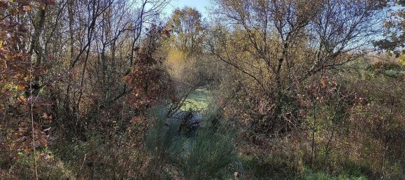 2 chambres Maison à Belmonte, Portugal No. 177960 19