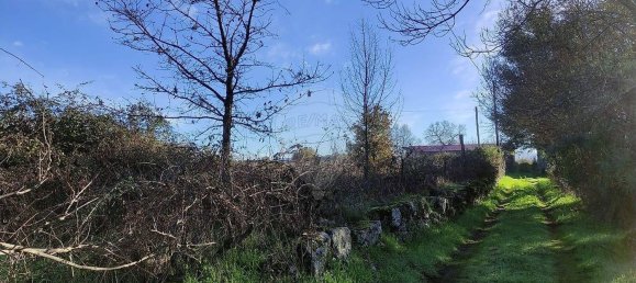 2 chambres Maison à Belmonte, Portugal No. 177960 13