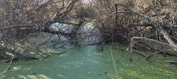 2 chambres Maison à Belmonte, Portugal No. 177960 17