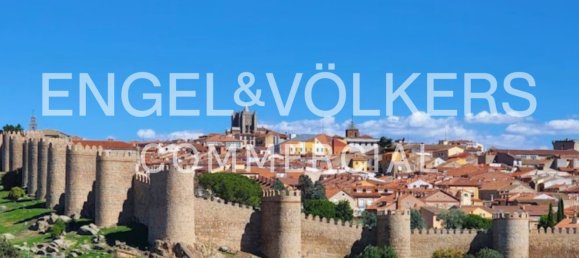 Gewerbliche Immobilie in Avila, Spain 3888m², Nr. 70339 4