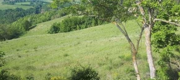 68794m² Land in Urbino, Italy No. 362627 2