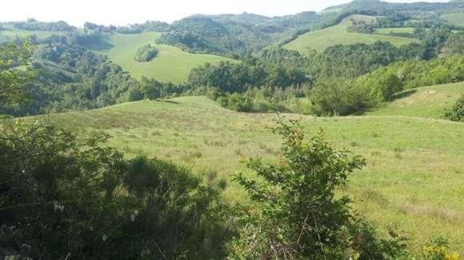 68794m² Land in Urbino, Italy No. 362627