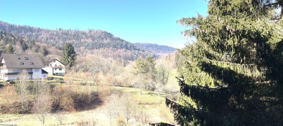 1 bedroom Apartment in Calw, Germany No. 27017 16