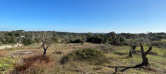 Estudio en Ostuni, Italy No. 80174 5