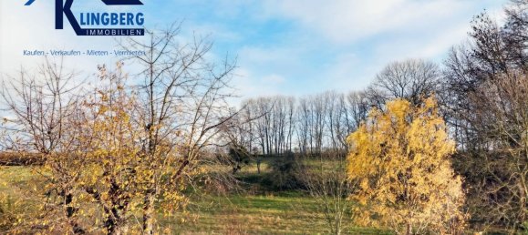 Moradia em banda T1 em Burgenlandkreis, Germany N.º 31773 6