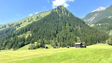 Terrain à Tyrol, Austria No. 220018
