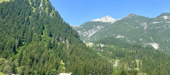 Terrain à Tyrol, Austria No. 220018 4