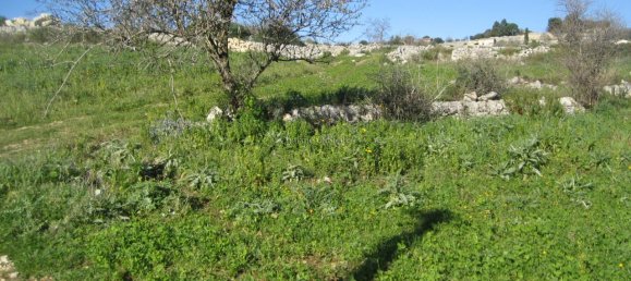 4 rooms House in Modica, Italy No. 231282 6